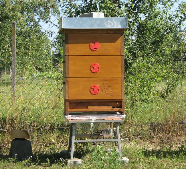 Pohled na přední stranu včelího úlu. Vpravo dole je vidět plastová krabička s elektronikou.